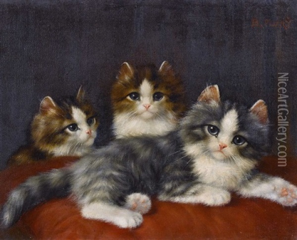 Drei Katzchen Oil Painting - Burkhard Flury
