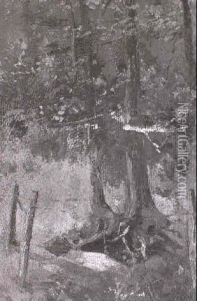 Waldlichtung Mit Baumen Oil Painting - Francois Adolphe Grison