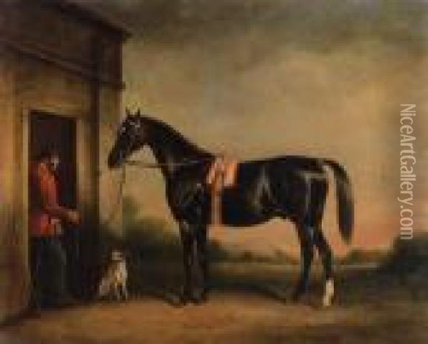 Vitellus, A Black Hunter, Held By A Groom, With A Dog Outside Astable Oil Painting - John Snr Ferneley