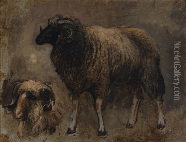 Study Of A Ram Oil Painting - Edwin Lord Weeks