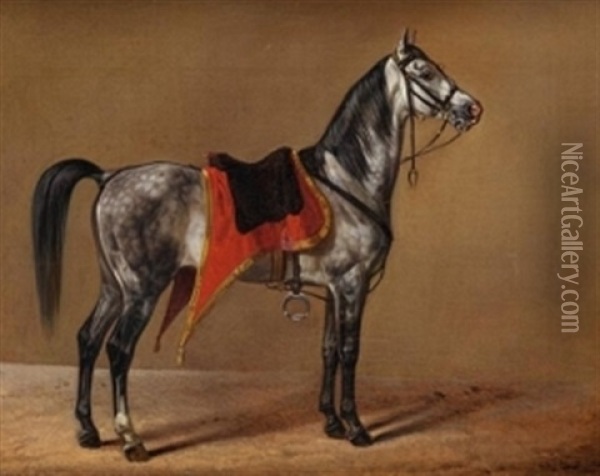Stehendes Pferd Nach Rechts Oil Painting - Albrecht Adam