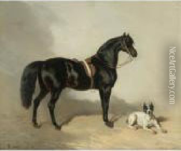Un Cheval Arabe Et Bulldogue Oil Painting - Alfred De Dreux