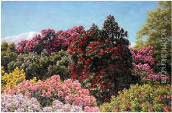 Garden Scenes Oil Painting - Henrik Gamst Jespersen