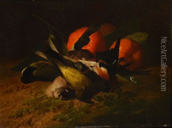 Oiseaux Et Oranges Oil Painting - David Emile Joseph de Noter