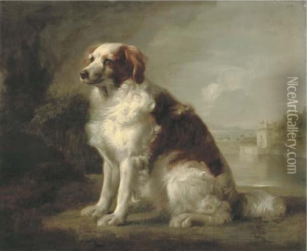 A Red And White Dog Oil Painting - George Stubbs