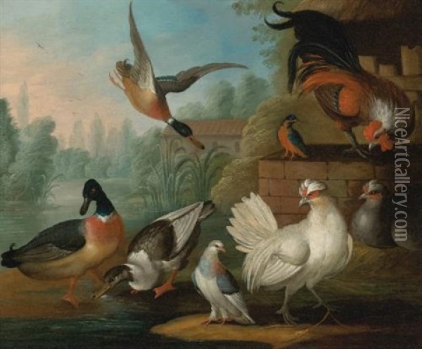 Still Life With Cockerels, Ducks, A Kingfisher And A Pigeon In A River Landscape Oil Painting - Marmaduke Cradock