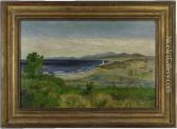 Del Mar California Oil Painting - Louis Michel Eilshemius