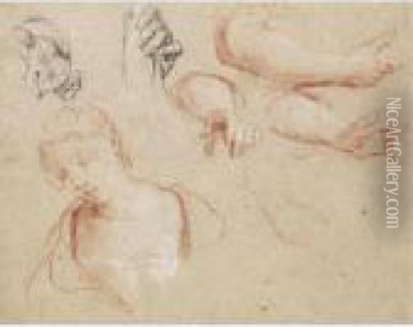 Sheet Of Studies Of Hands, Arms And A Young Woman, Head And Shoulders Oil Painting - Francois Lemoine (see Lemoyne)