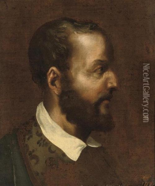 Head Of A Man In Profile Oil Painting - Tiziano Vecellio (Titian)