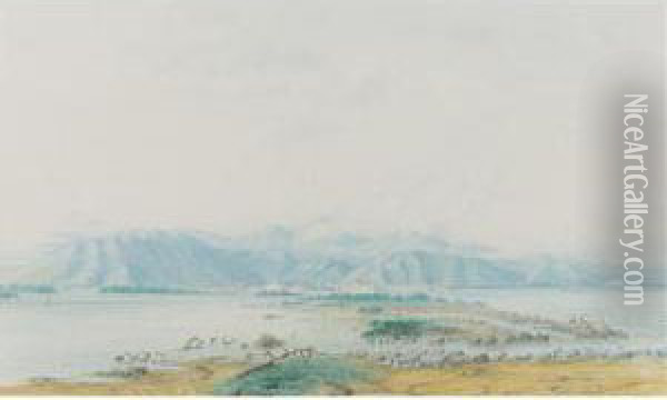 Vista De Puerto Cabello Oil Painting - Anton Goering
