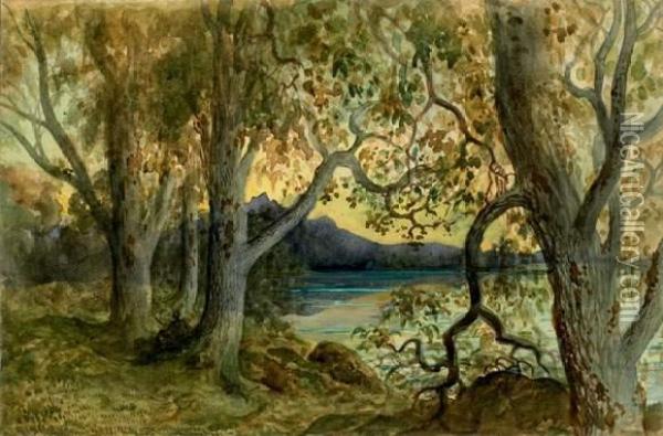 Paysage Lacustre Boise
 Aquarelle Gouachee Sur Trait De Crayon Noir Oil Painting - Gustave Dore