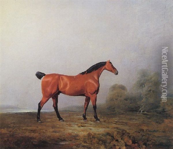 A Chestnut Horse Standing In A Landscape Oil Painting - Benjamin Marshall