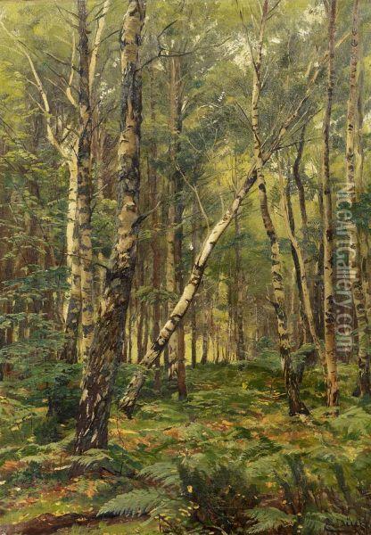 Birch Forest Oil Painting - Eugene Gustav Ducker