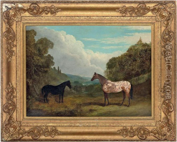 An Appaloosa And A Black Horse In An Extensive Landscape Oil Painting - John Frederick Herring Snr