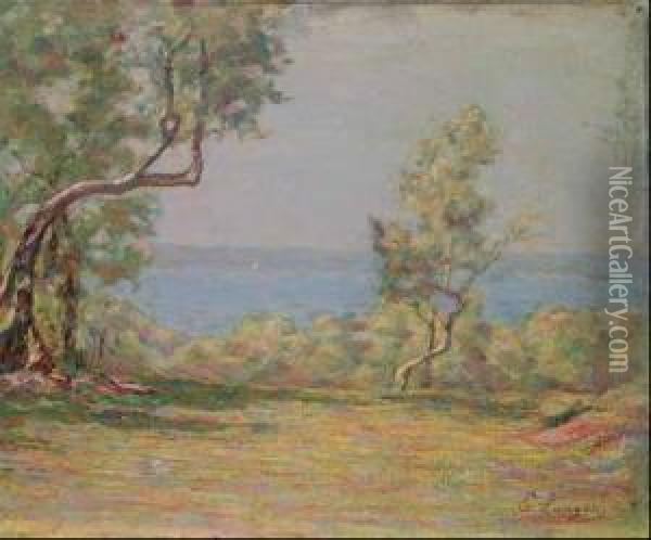 Ulivi Sul Garda Oil Painting - Emilio Longoni