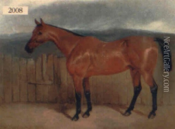 Horse Standing Near A Fence Oil Painting - Charles Bilger Spalding