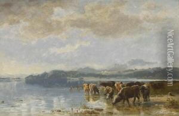 Kuhe Am Wasser. Oil Painting - Joseph Wenglein