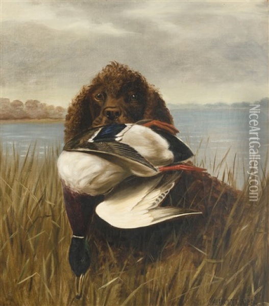 The Water Spaniel Oil Painting - Alexander Pope