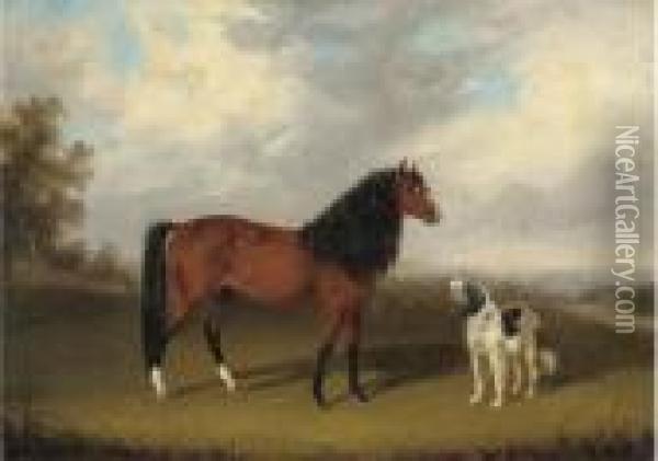 A Grey With A Dog In A Parkland;
 And A Chestnut Horse With A Dog Inan Extensive Landscape Oil Painting - Edmund Bristow