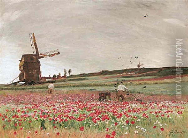 The Poppy Field Oil Painting - Sir David Murray