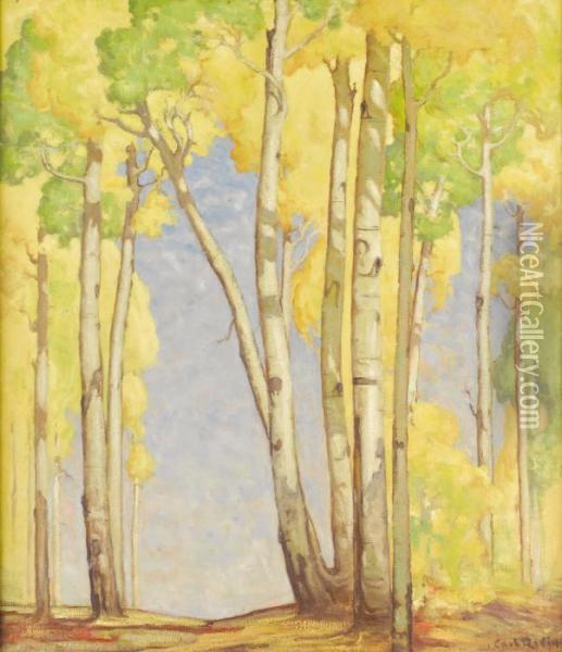 Aspens In Autumn Oil Painting - Carl Redin