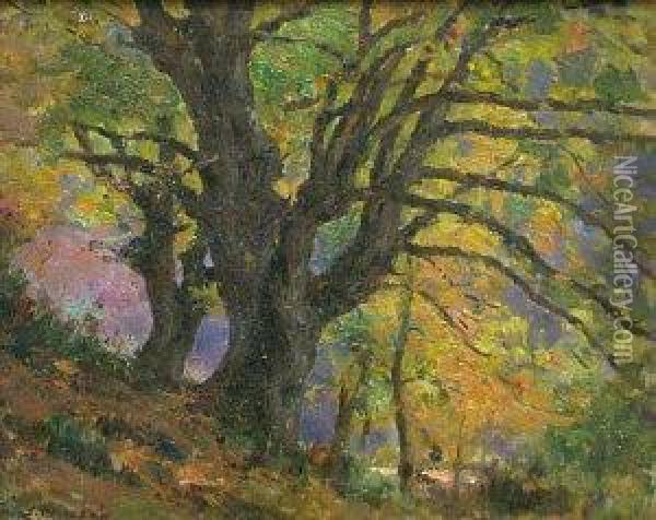 Woodland Scene Oil Painting - Jean Eugene Masse