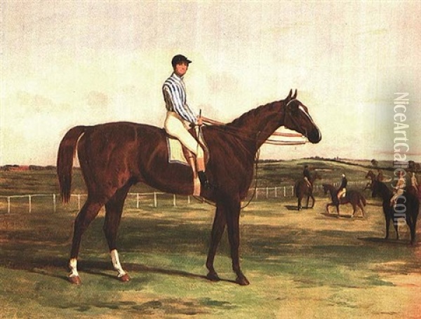 The Marquis Of Exeter's Bay Colt 