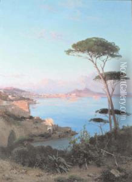 Golfo Di Napoli Oil Painting - Alessandro la Volpe