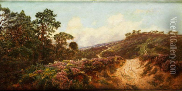 Hugelige Heidelandschaft Mit Hohlweg Undknorrigen Kiefern Oil Painting - Frederick William Hayes