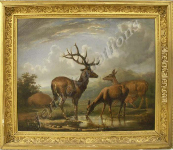 Family Of Elk Oil Painting - Hugh Newell