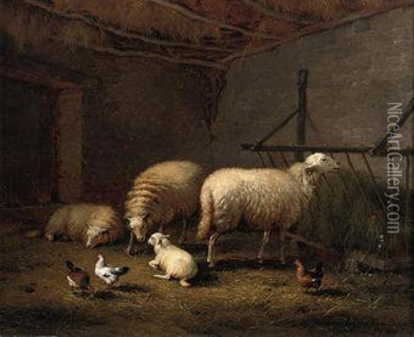 Sheep In The Stable Oil Painting - Eugene Joseph Verboeckhoven