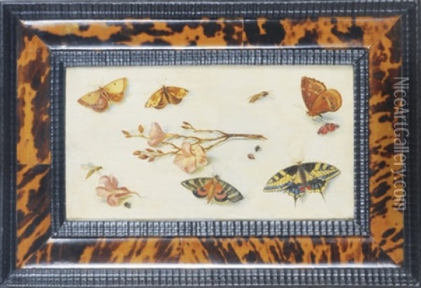 Butterflies And Flowers (+ A Companion Painting; 2 Works) Oil Painting - Jan van Kessel the Elder