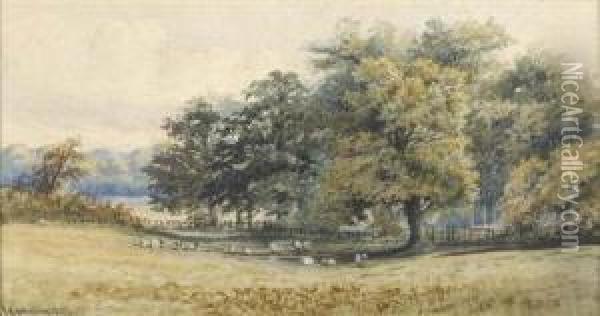 Scratchby Beech Oil Painting - Charles Harmony Harrison