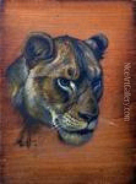 Study Of A Lion's Head Oil Painting - Edmund Caldwell