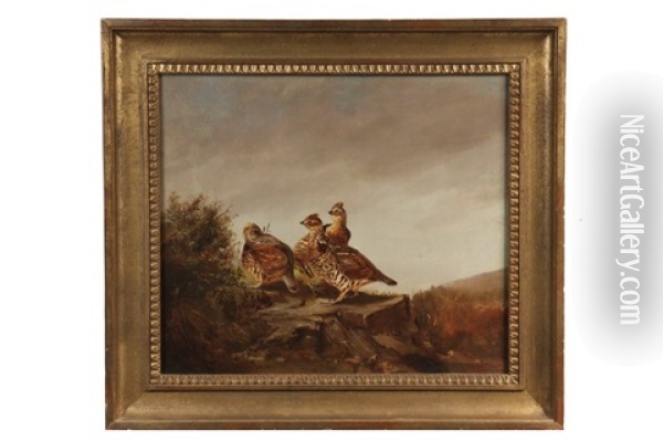 Three Grouse Oil Painting - Gilbert Burling