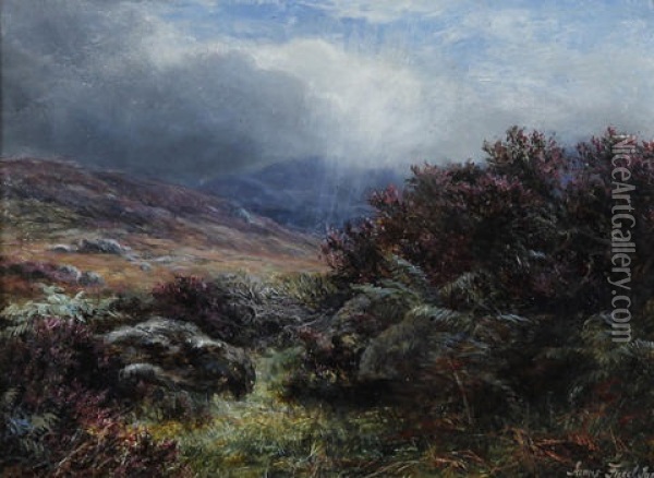 In The Scottish Hills, The Heather In Flower Oil Painting - James Faed the Younger