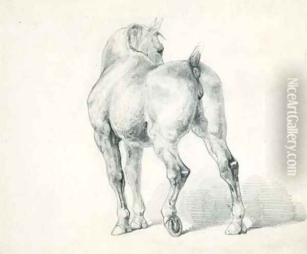 A carriage horse, seen from behind Oil Painting - Theodore Gericault