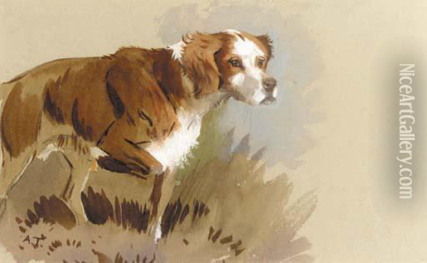 The Artist's Dog Oil Painting - Archibald Thorburn