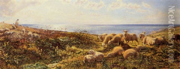 Sheep Grazing Above The Sea Oil Painting - Henry William Banks Davis