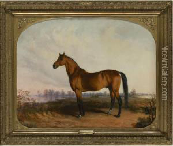 Major Winfield Oil Painting - Edward Troye