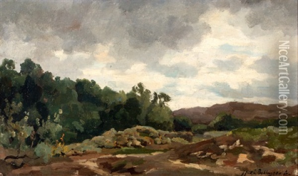 Bomen Langs Een Heideveld Oil Painting - Julius Jacobus Van De Sande Bakhuyzen