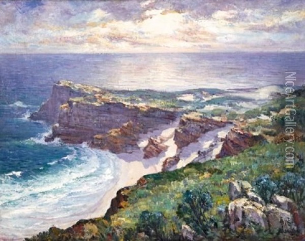 Cape Of Good Hope Oil Painting - Pieter Hugo Naude