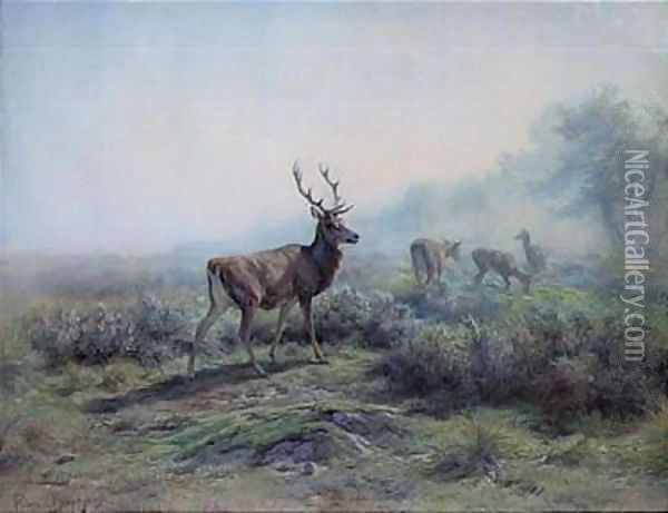 The Deer, Morning Effect (Les Cerfs, Effet Du Matin) Oil Painting - Rosa Bonheur