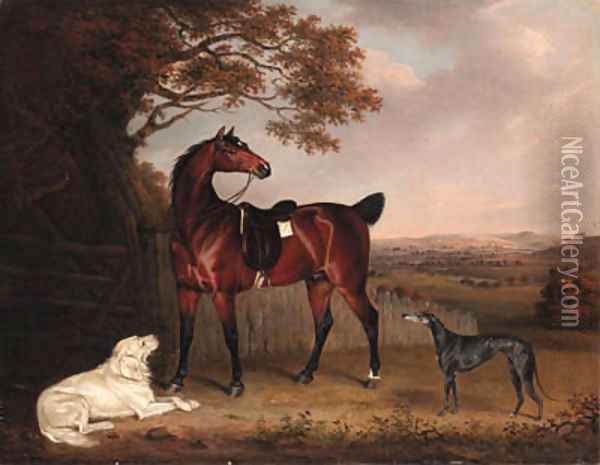 A Favorite Hunter of Robert Bower of Welham Oil Painting - Henry Bernard Chalon