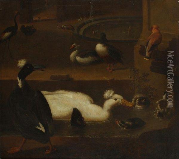 Canards Dans Une Fontaine Oil Painting - Adriaen van Oolen