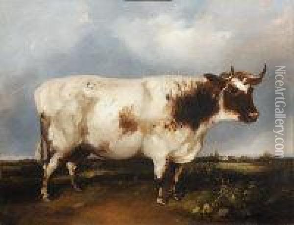 Portrait Of A Prize Bull Oil Painting - William Henry Davis