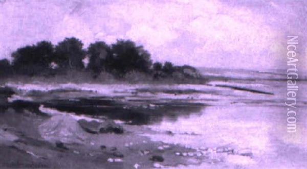 Flache Uferpartie Oil Painting - Sophie von Niederhausern