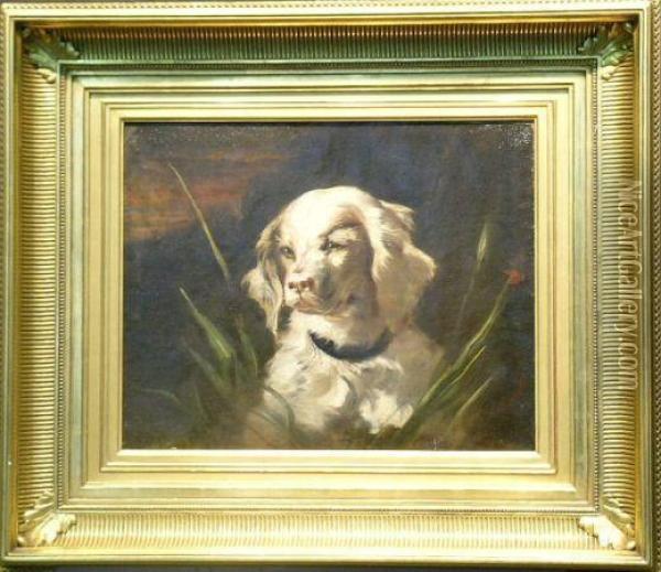 Portrait Of A Spaniel Oil Painting - James Fullerton Sloan