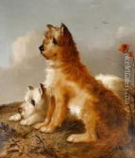Portrait Of Two Terriers Oil Painting - George Armfield