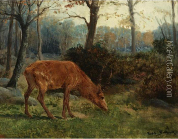 A Deer Grazing Oil Painting - Rosa Bonheur